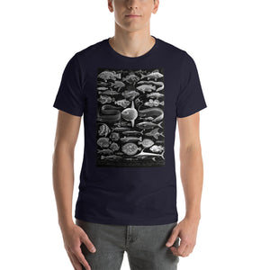 Illustration of different species of fish with a special chromatic effect on a soft cotton t-shir
