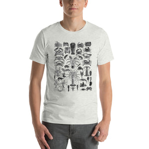 Illustration of different species of crustaceans/shellfish, Vintage style drawing on a soft cotton t-shirt